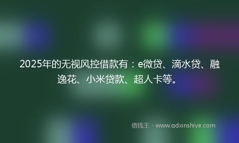 2025年的无视风控借款有：e微贷、滴水贷、融逸花、小米贷款、超人卡等。