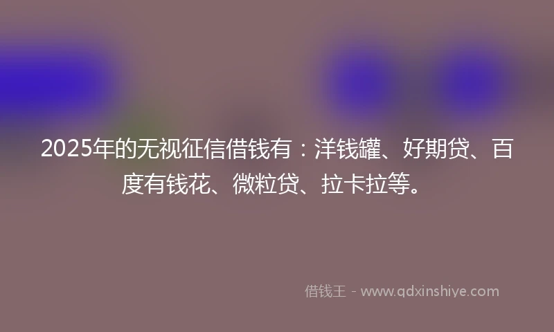 2025年的无视征信借钱有：洋钱罐、好期贷、百度有钱花、微粒贷、拉卡拉等。