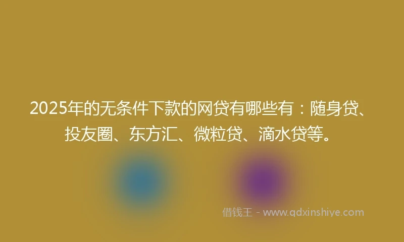 2025年的无条件下款的网贷有哪些有：随身贷、投友圈、东方汇、微粒贷、滴水贷等。