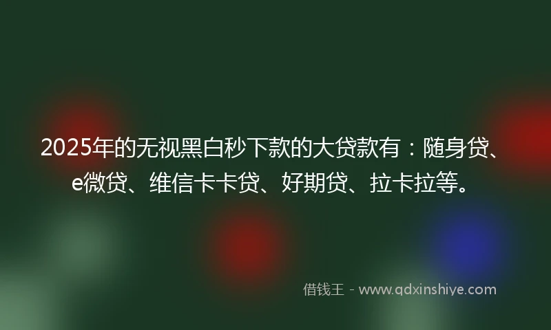 2025年的无视黑白秒下款的大贷款有：随身贷、e微贷、维信卡卡贷、好期贷、拉卡拉等。