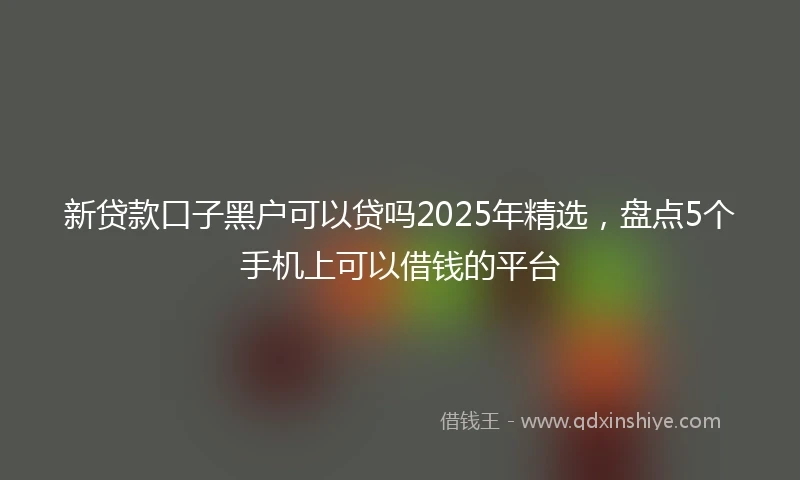 新贷款口子黑户可以贷吗2025年精选，盘点5个手机上可以借钱的平台