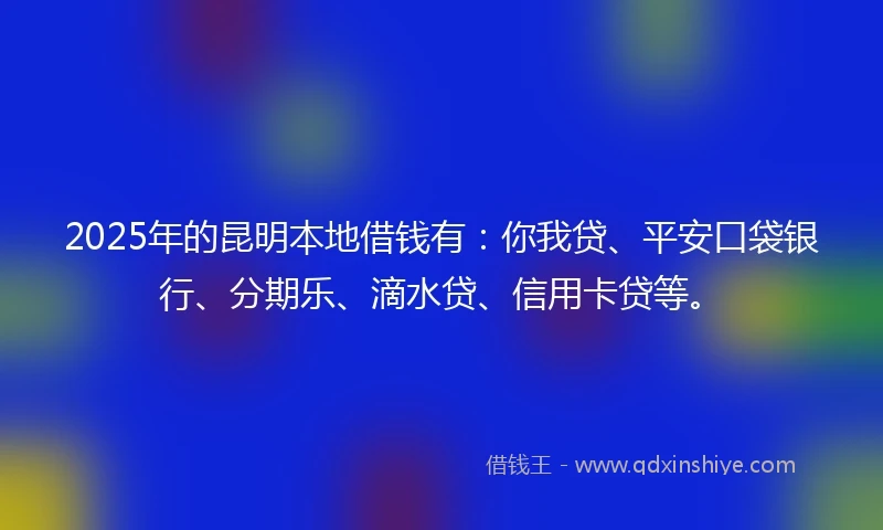 2025年的昆明本地借钱有：你我贷、平安口袋银行、分期乐、滴水贷、信用卡贷等。