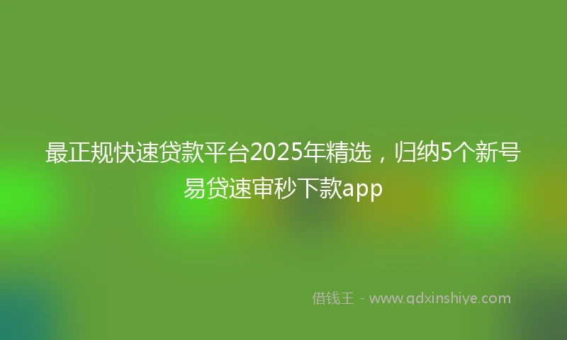 最正规快速贷款平台2025年精选，归纳5个新号易贷速审秒下款app