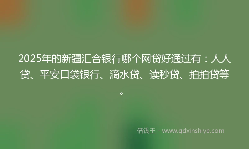 2025年的新疆汇合银行哪个网贷好通过有：人人贷、平安口袋银行、滴水贷、读秒贷、拍拍贷等。