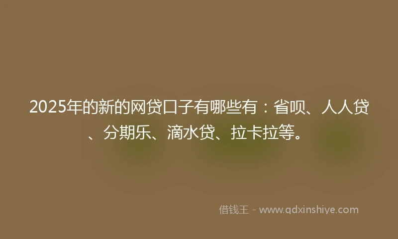 2025年的新的网贷口子有哪些有：省呗、人人贷、分期乐、滴水贷、拉卡拉等。