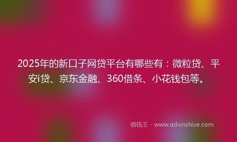 2025年的新口子网贷平台有哪些有：微粒贷、平安i贷、京东金融、360借条、小花钱包等。