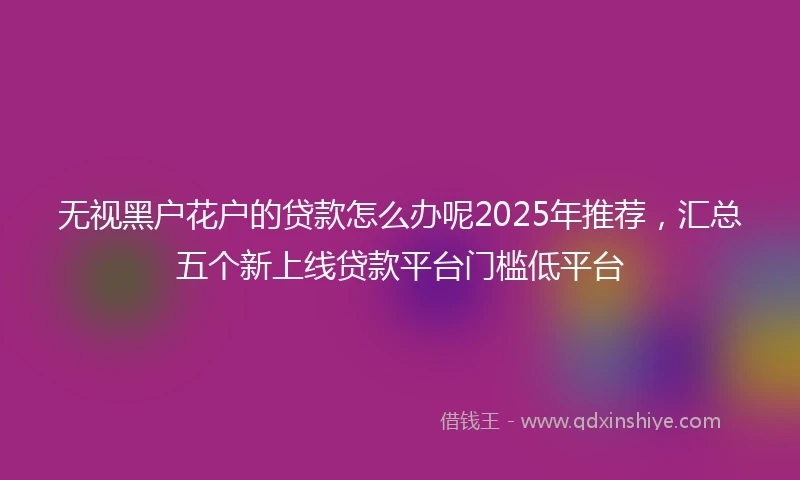 无视黑户花户的贷款怎么办呢2025年推荐，汇总五个新上线贷款平台门槛低平台