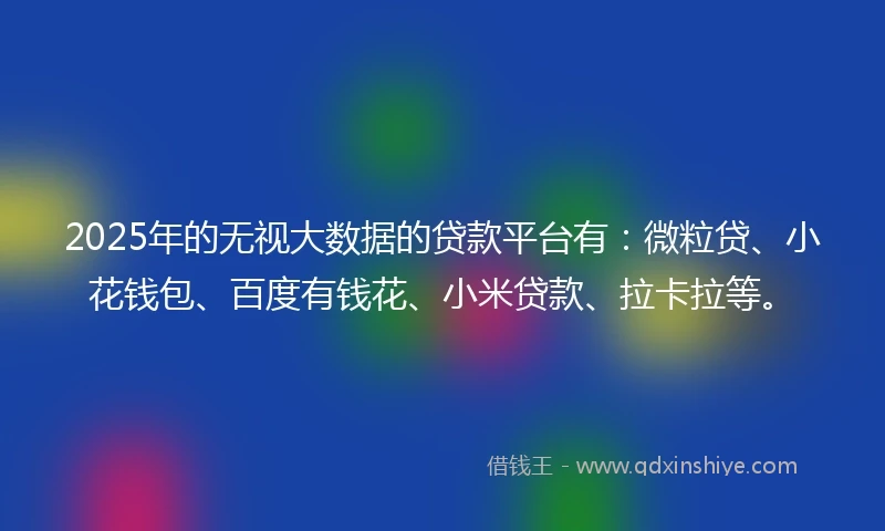 2025年的无视大数据的贷款平台有：微粒贷、小花钱包、百度有钱花、小米贷款、拉卡拉等。