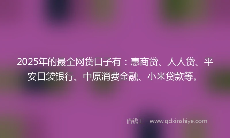 2025年的最全网贷口子有：惠商贷、人人贷、平安口袋银行、中原消费金融、小米贷款等。