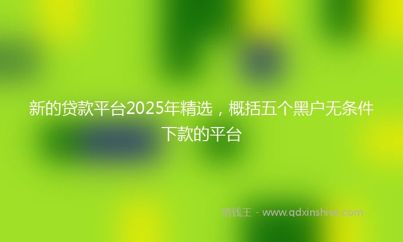 新的贷款平台2025年精选，概括五个黑户无条件下款的平台