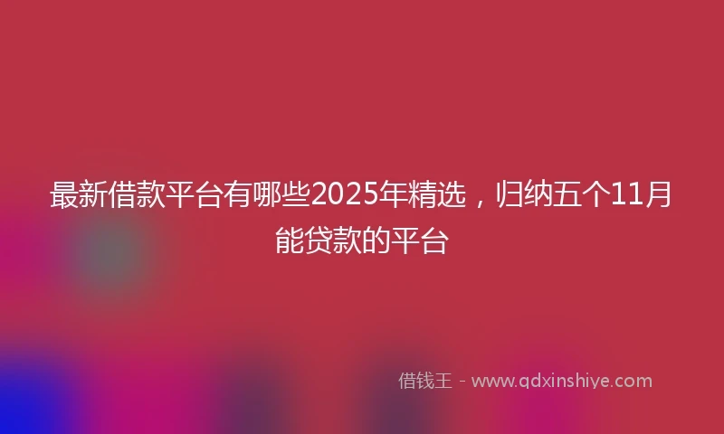 最新借款平台有哪些2025年精选，归纳五个11月能贷款的平台