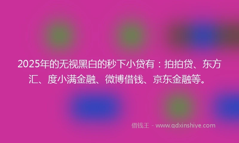 2025年的无视黑白的秒下小贷有：拍拍贷、东方汇、度小满金融、微博借钱、京东金融等。