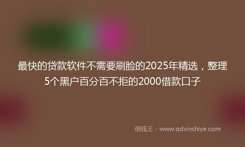 最快的贷款软件不需要刷脸的2025年精选，整理5个黑户百分百不拒的2000借款口子