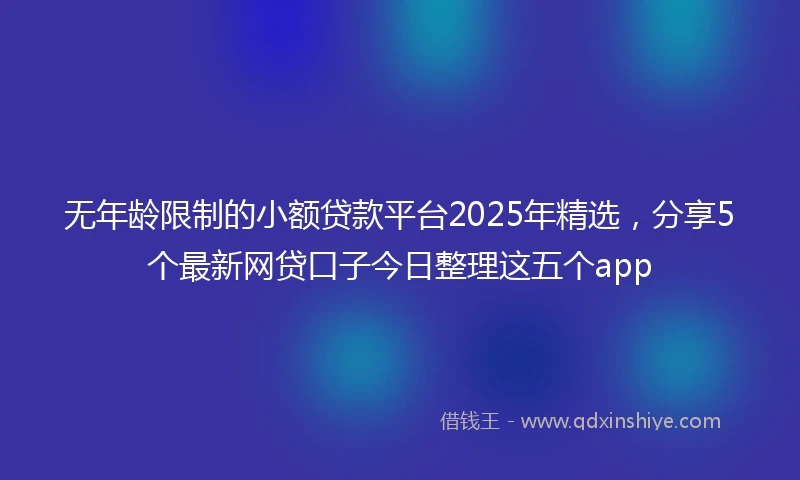 无年龄限制的小额贷款平台2025年精选，分享5个最新网贷口子今日整理这五个app