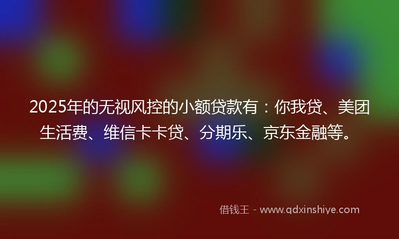 2025年的无视风控的小额贷款有：你我贷、美团生活费、维信卡卡贷、分期乐、京东金融等。