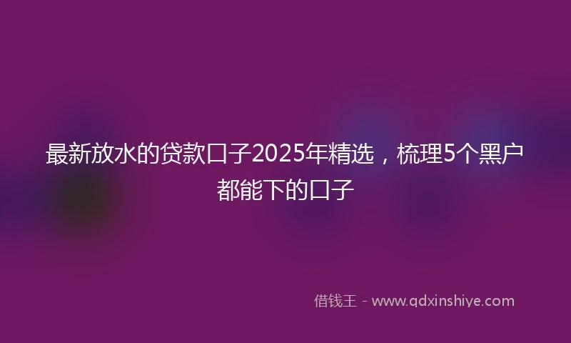 最新放水的贷款口子2025年精选，梳理5个黑户都能下的口子