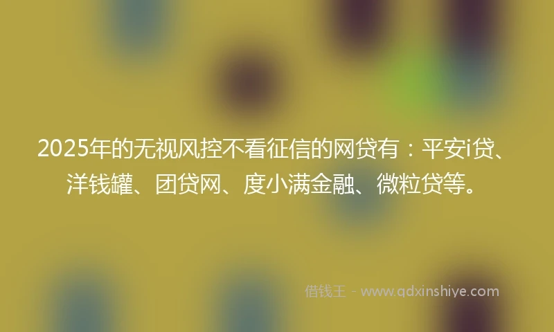 2025年的无视风控不看征信的网贷有：平安i贷、洋钱罐、团贷网、度小满金融、微粒贷等。
