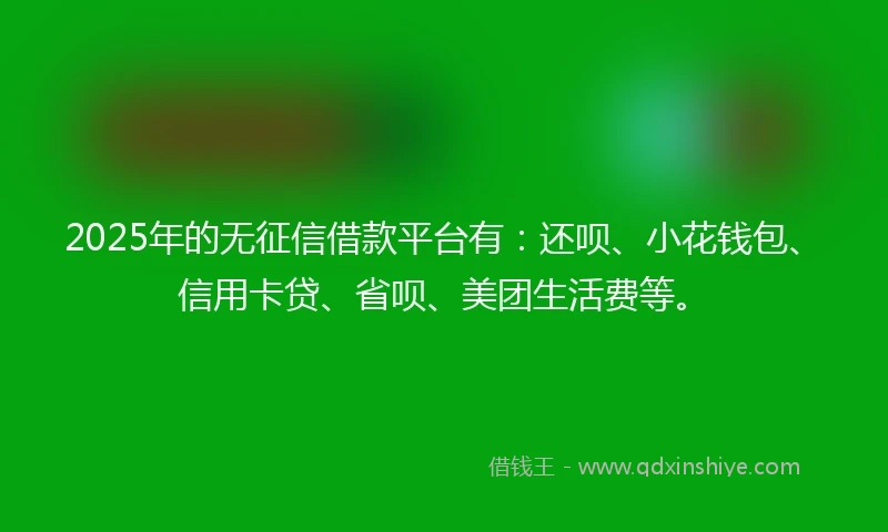2025年的无征信借款平台有：还呗、小花钱包、信用卡贷、省呗、美团生活费等。