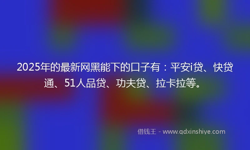 2025年的最新网黑能下的口子有：平安i贷、快贷通、51人品贷、功夫贷、拉卡拉等。