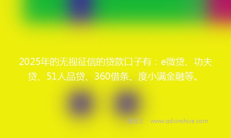 2025年的无视征信的贷款口子有：e微贷、功夫贷、51人品贷、360借条、度小满金融等。