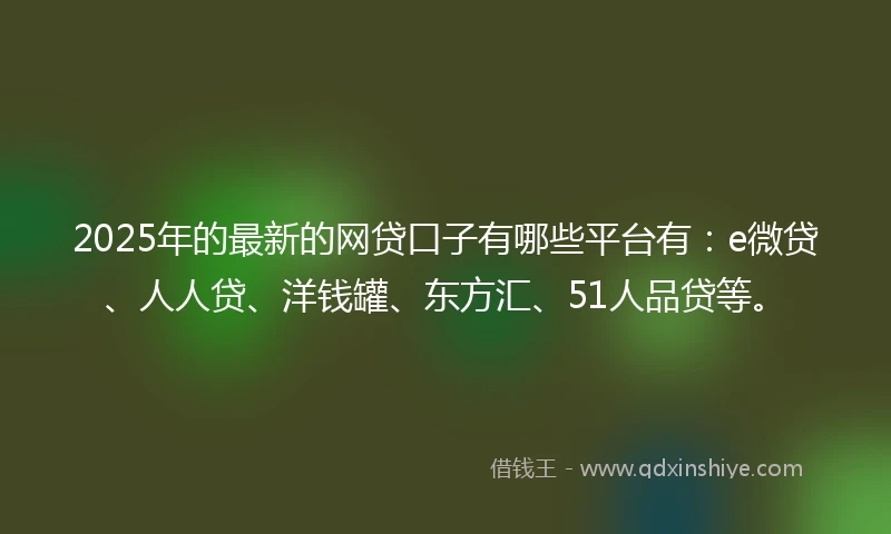 2025年的最新的网贷口子有哪些平台有：e微贷、人人贷、洋钱罐、东方汇、51人品贷等。