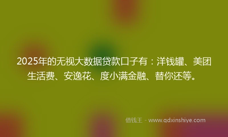 2025年的无视大数据贷款口子有：洋钱罐、美团生活费、安逸花、度小满金融、替你还等。