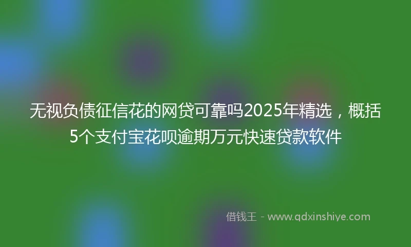 无视负债征信花的网贷可靠吗2025年精选，概括5个支付宝花呗逾期万元快速贷款软件