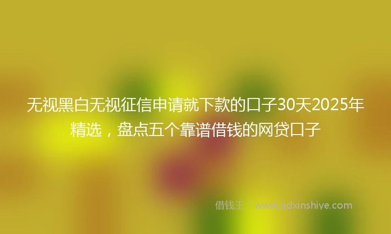 无视黑白无视征信申请就下款的口子30天2025年精选，盘点五个靠谱借钱的网贷口子