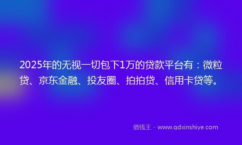 2025年的无视一切包下1万的贷款平台有：微粒贷、京东金融、投友圈、拍拍贷、信用卡贷等。