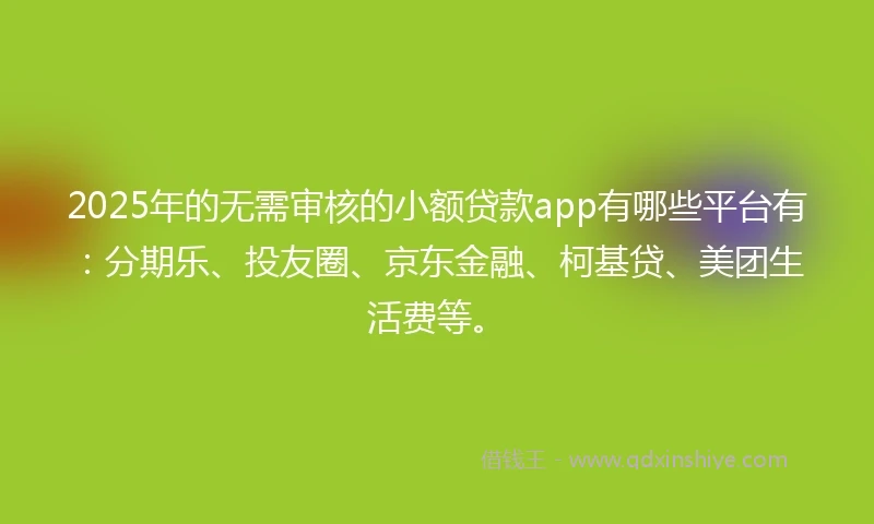 2025年的无需审核的小额贷款app有哪些平台有：分期乐、投友圈、京东金融、柯基贷、美团生活费等。