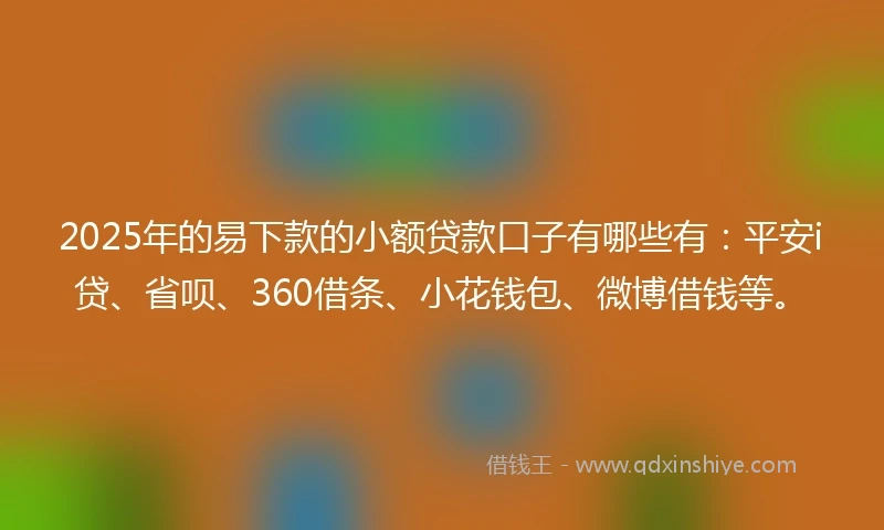 2025年的易下款的小额贷款口子有哪些有：平安i贷、省呗、360借条、小花钱包、微博借钱等。
