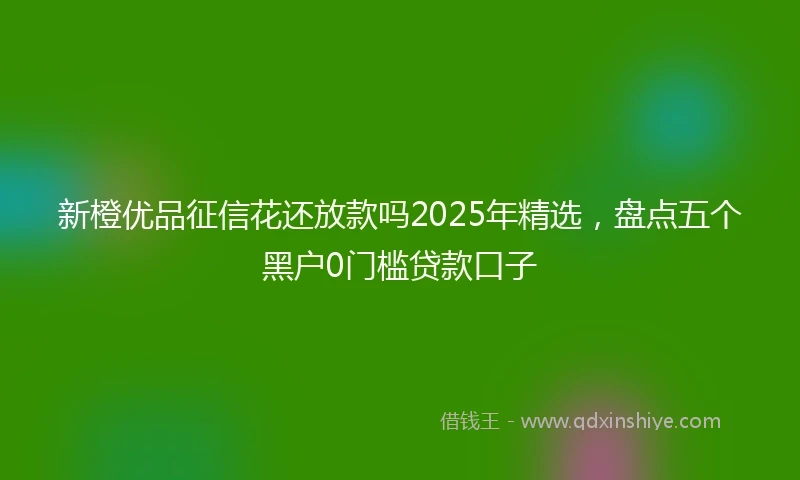 新橙优品征信花还放款吗2025年精选，盘点五个黑户0门槛贷款口子