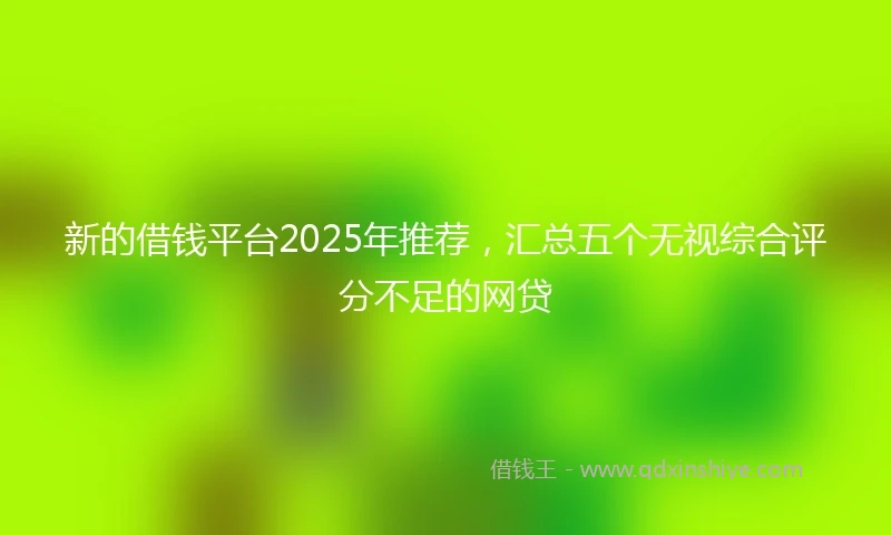 新的借钱平台2025年推荐，汇总五个无视综合评分不足的网贷