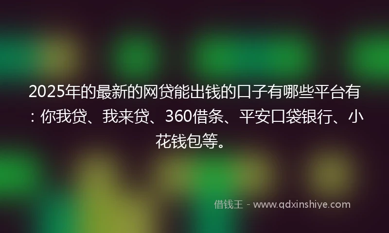 2025年的最新的网贷能出钱的口子有哪些平台有：你我贷、我来贷、360借条、平安口袋银行、小花钱包等。