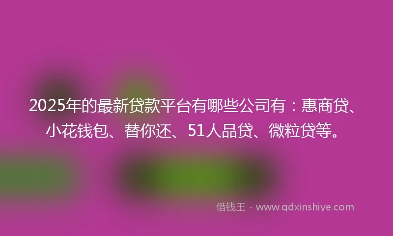 2025年的最新贷款平台有哪些公司有：惠商贷、小花钱包、替你还、51人品贷、微粒贷等。