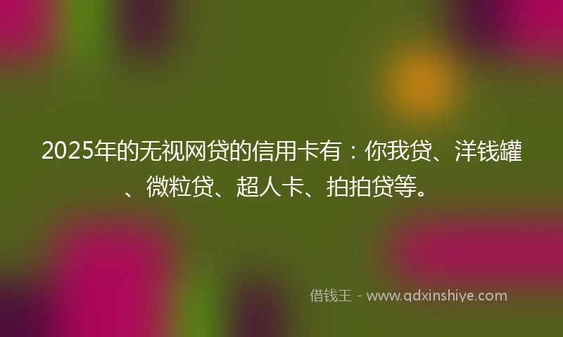2025年的无视网贷的信用卡有：你我贷、洋钱罐、微粒贷、超人卡、拍拍贷等。