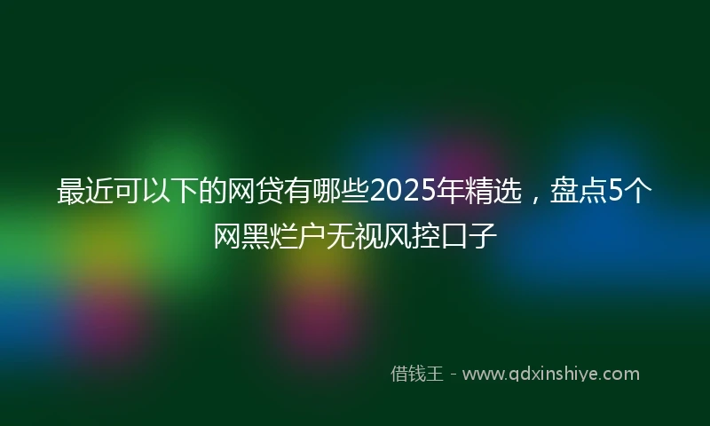 最近可以下的网贷有哪些2025年精选,盘点5个网黑烂户无视风控口子