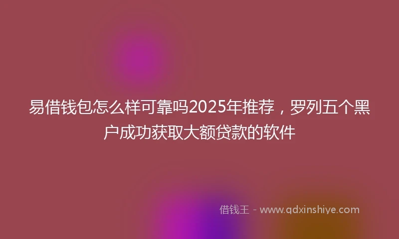 易借钱包怎么样可靠吗2025年推荐，罗列五个黑户成功获取大额贷款的软件
