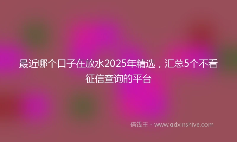 最近哪个口子在放水2025年精选,汇总5个不看征信查询的平台