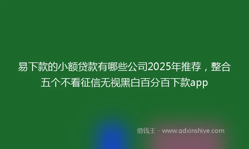 易下款的小额贷款有哪些公司2025年推荐，整合五个不看征信无视黑白百分百下款app