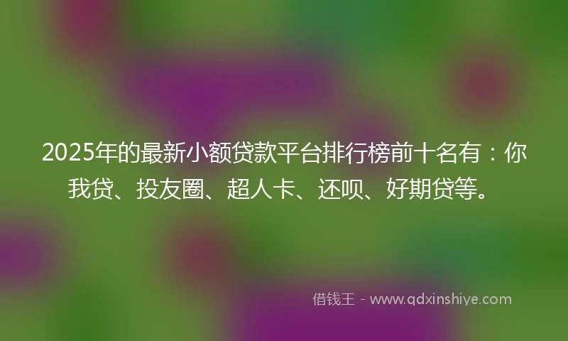 2025年的最新小额贷款平台排行榜前十名有:你我贷、投友圈、超人卡、还呗、好期贷等。