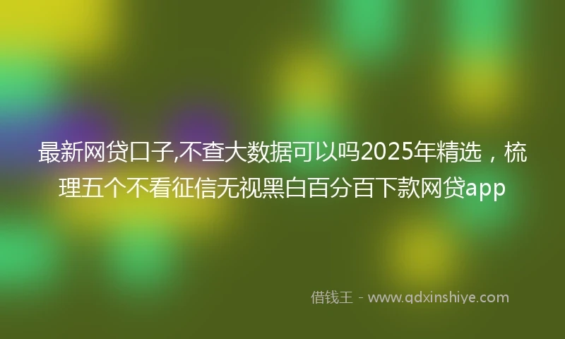 最新网贷口子,不查大数据可以吗2025年精选，梳理五个不看征信无视黑白百分百下款网贷app