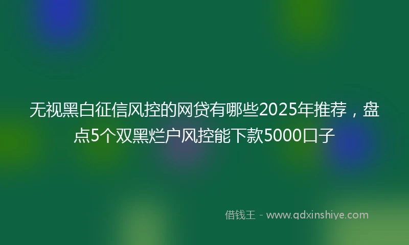 无视黑白征信风控的网贷有哪些2025年推荐，盘点5个双黑烂户风控能下款5000口子