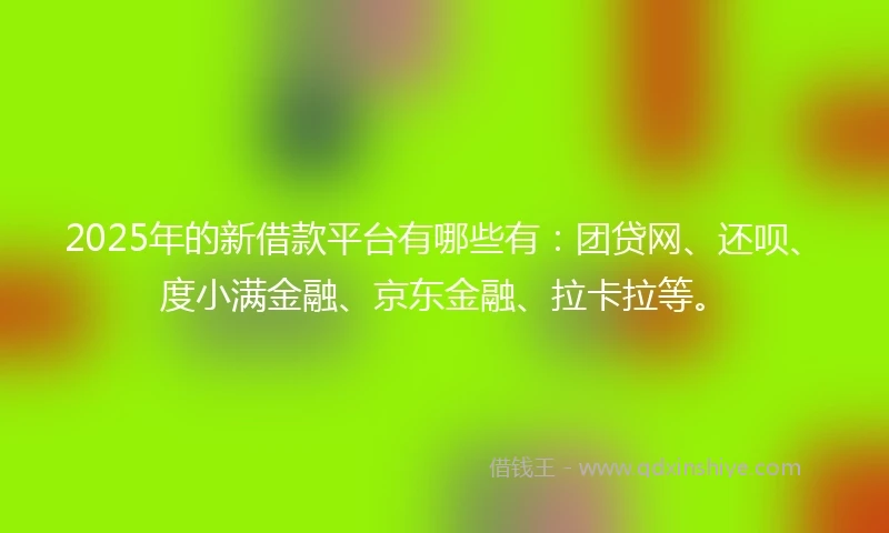 2025年的新借款平台有哪些有：团贷网、还呗、度小满金融、京东金融、拉卡拉等。
