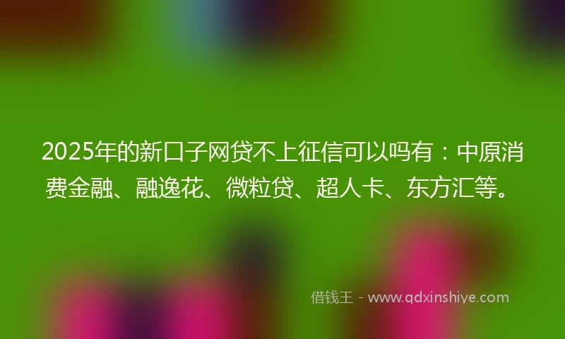 2025年的新口子网贷不上征信可以吗有：中原消费金融、融逸花、微粒贷、超人卡、东方汇等。