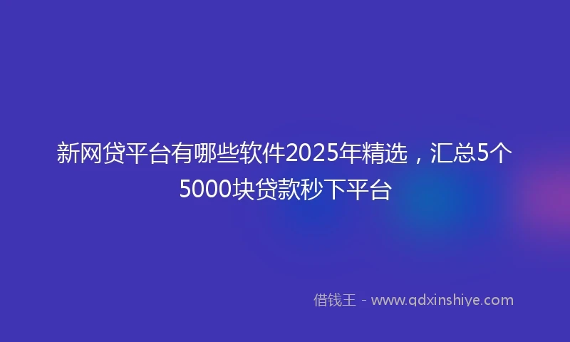 新网贷平台有哪些软件2025年精选，汇总5个5000块贷款秒下平台