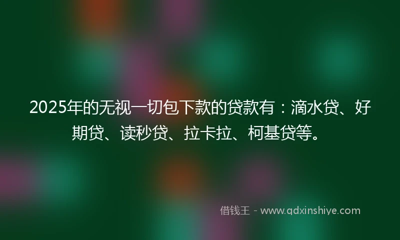 2025年的无视一切包下款的贷款有：滴水贷、好期贷、读秒贷、拉卡拉、柯基贷等。
