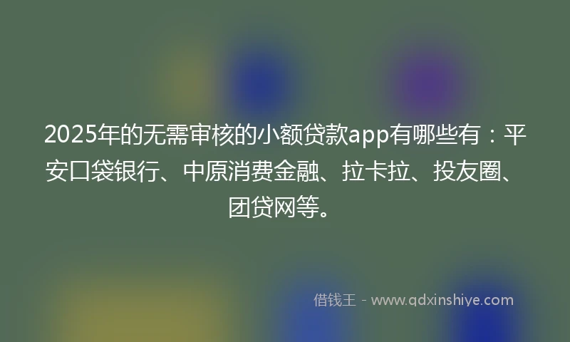 2025年的无需审核的小额贷款app有哪些有：平安口袋银行、中原消费金融、拉卡拉、投友圈、团贷网等。