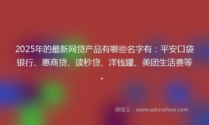 2025年的最新网贷产品有哪些名字有：平安口袋银行、惠商贷、读秒贷、洋钱罐、美团生活费等。