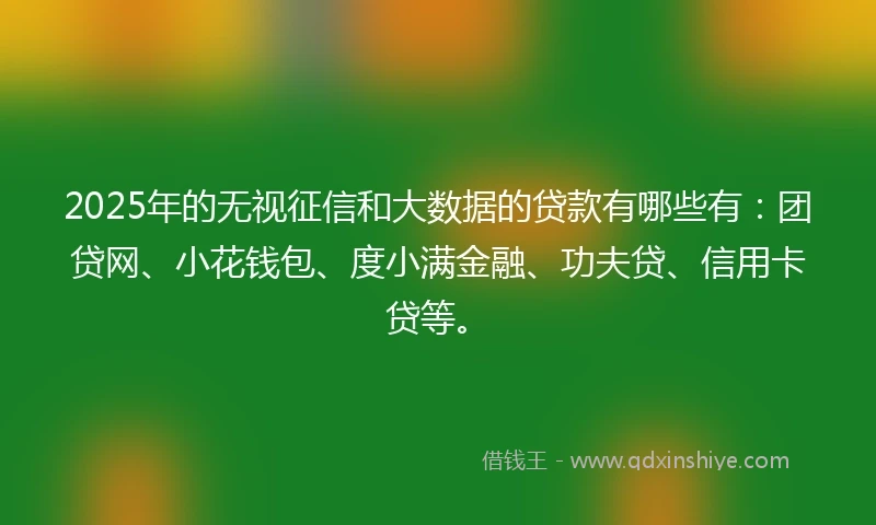 2025年的无视征信和大数据的贷款有哪些有：团贷网、小花钱包、度小满金融、功夫贷、信用卡贷等。